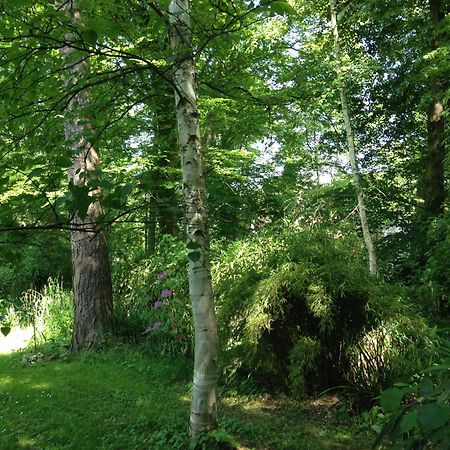 Domaine De Chantemerles Fontainebleau Ngoại thất bức ảnh
