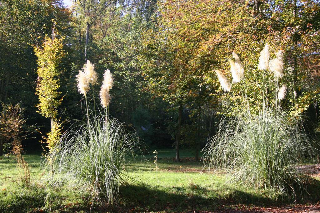 Domaine De Chantemerles Fontainebleau Ngoại thất bức ảnh